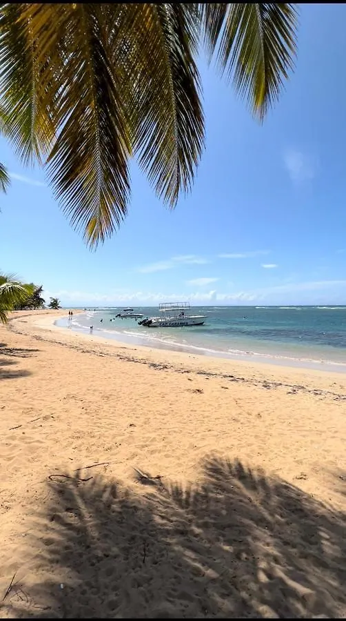 Lovely Beachfront 2 Bedrooms Condo With 2 Pools Las Terrenas 0*,